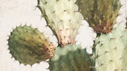 For Eczema Web Story