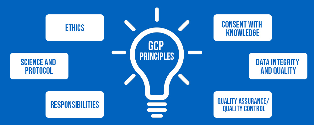 ICH GCP clinical research principles