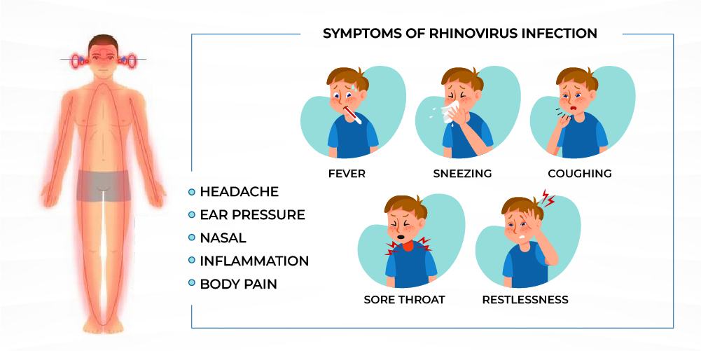 Rhino Virus Symptom