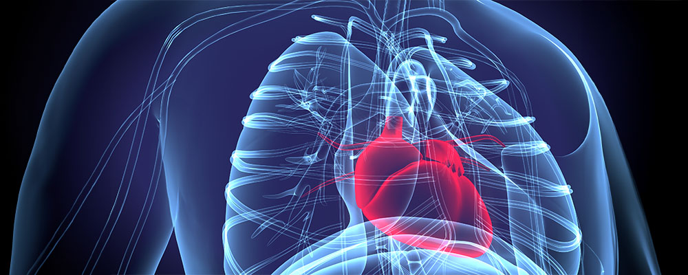 understanding COPD and Congestive Heart Failure