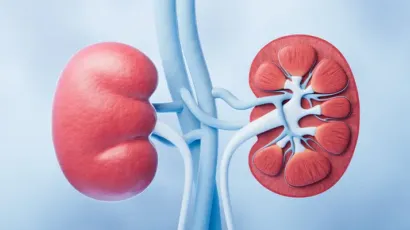 Is IgA Nephropathy Genetic
