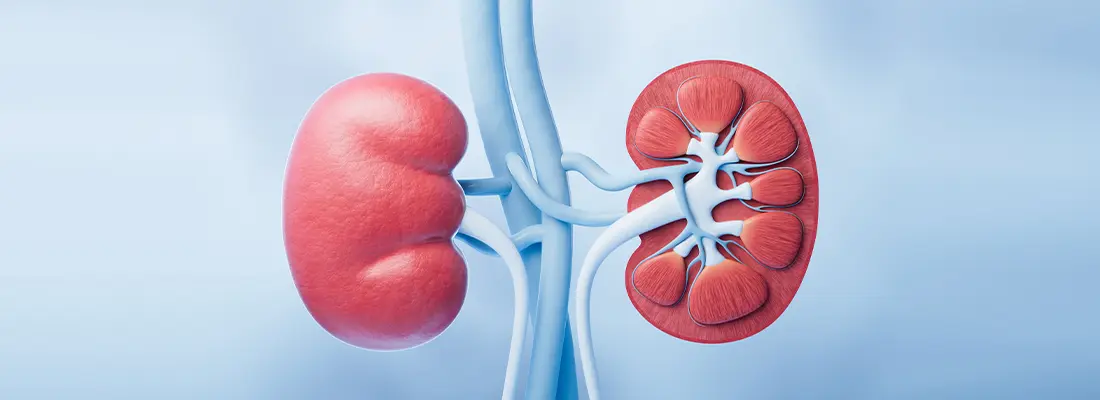 Is IgA Nephropathy Genetic