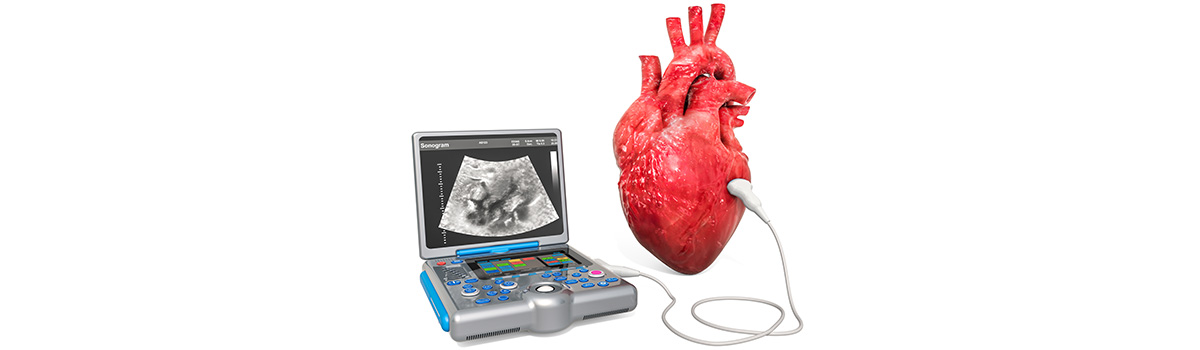 Cardiac Ultrasound Concept Human Heart
