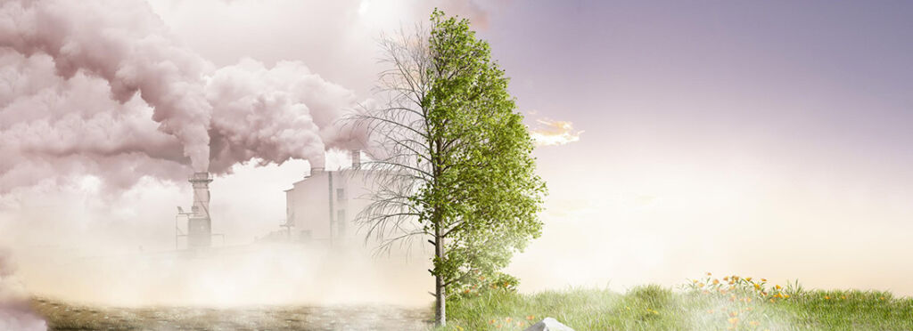 Steps Toward Prevention and Awareness